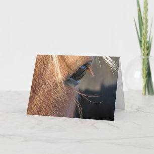 Cartão Scotch the Horse Eye Closeup All Occasion Saudaç