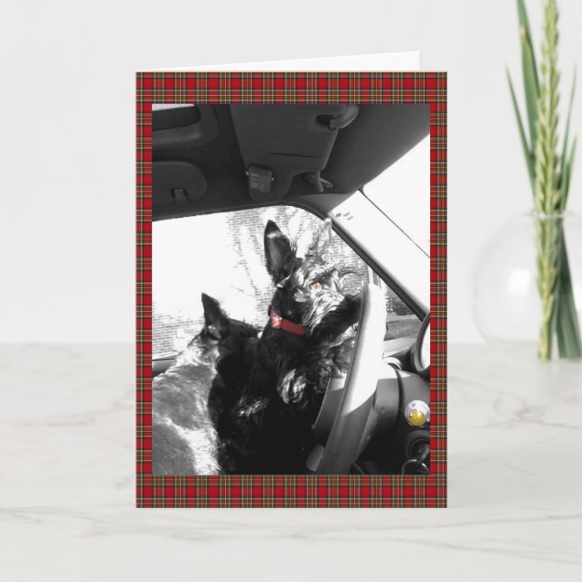 Cartão Scottie (Frente)