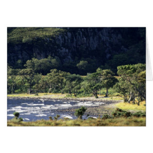 Cartão Scottish Loch