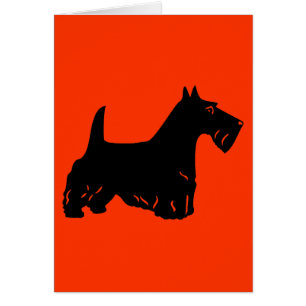 Cartão Scottish Terrier