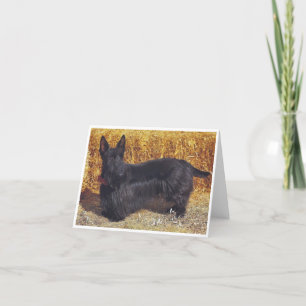 Cartão Scottish Terrier, bilhete