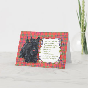 Cartão Scottish Terrier Greeting Card