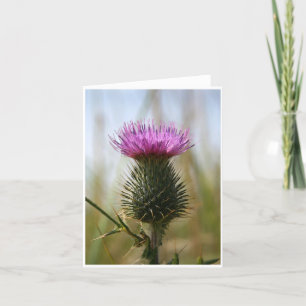 Cartão Scottish Thistle Notecard