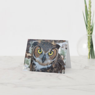 Cartão Screech Owl