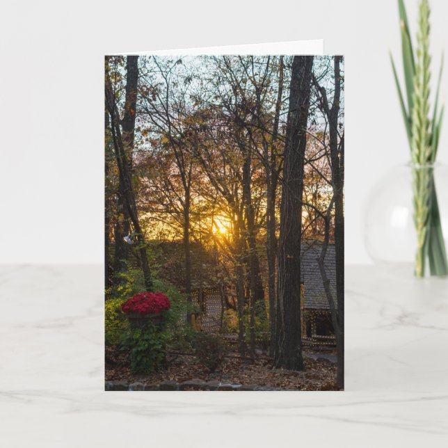 Cartão Sdc Woods Sunset (Frente)