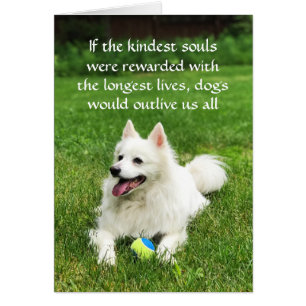 Cartão Se as almas mais bonitas - placa de arte de 5" x 7