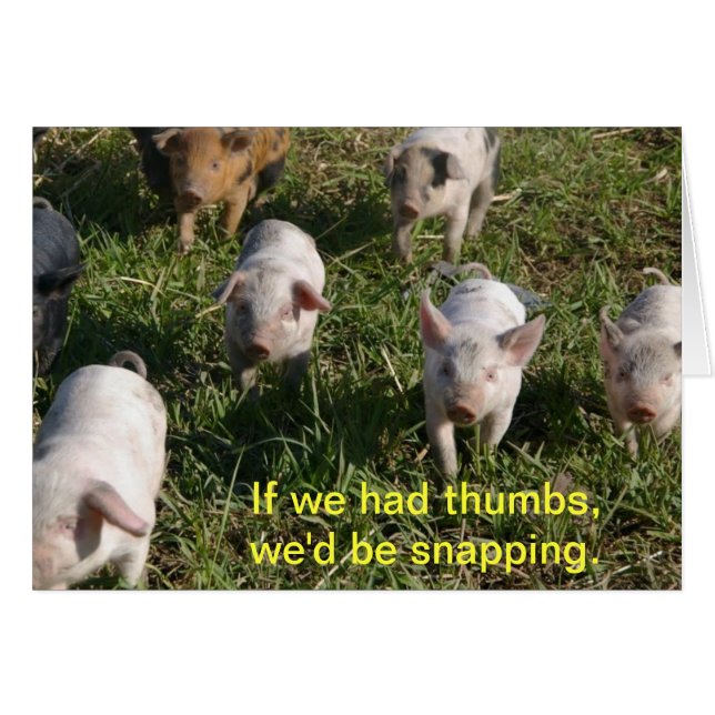 Cartão Se Tivéssemos Mumbos (Frente horizontal)