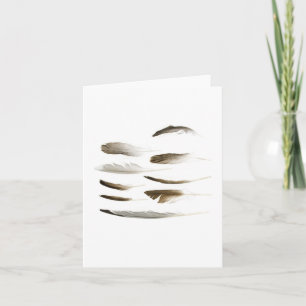 Cartão Sea Bird Feather Note Card
