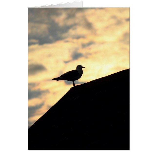 Cartão Sea Gull Sunset (Frente)