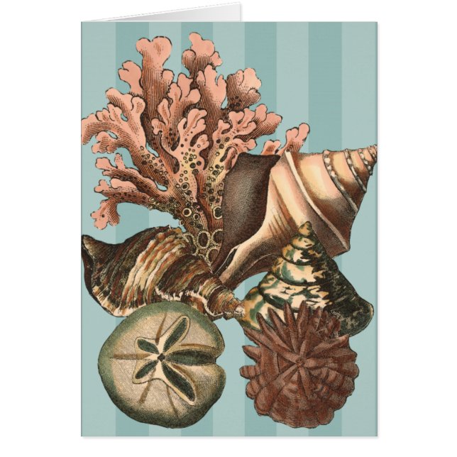 Cartão Sea Life Silhouette (Frente)