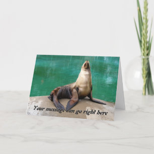 Cartão Sea Lion Greeting Card