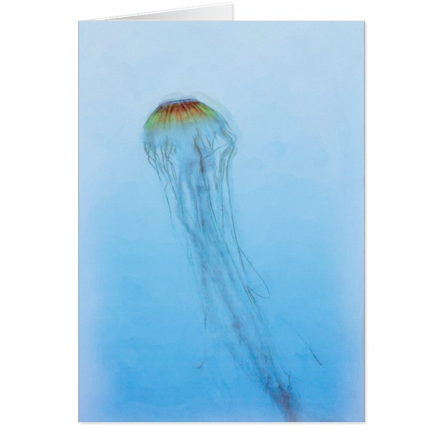 Cartão Sea Nettle (Frente)