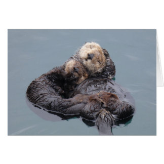 Cartão Sea Otter Mom and Pup