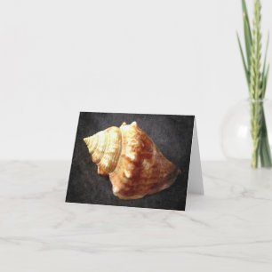 Cartão Sea Shell Blank Card