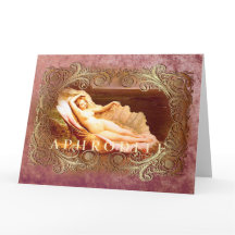 Sea Shell - Ocean Beach Shells