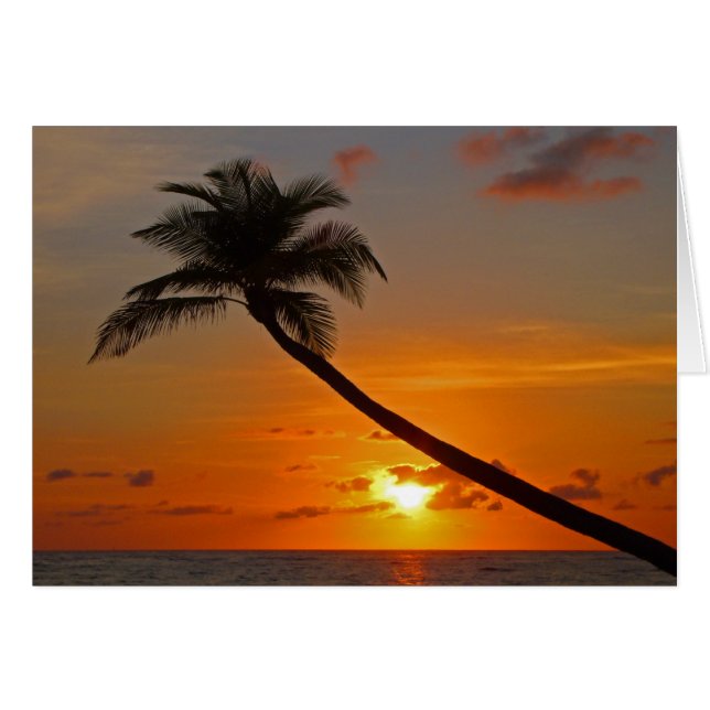 Cartão Seafoam (Frente Horizontal)