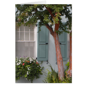 Cartão Seagreen Shutters