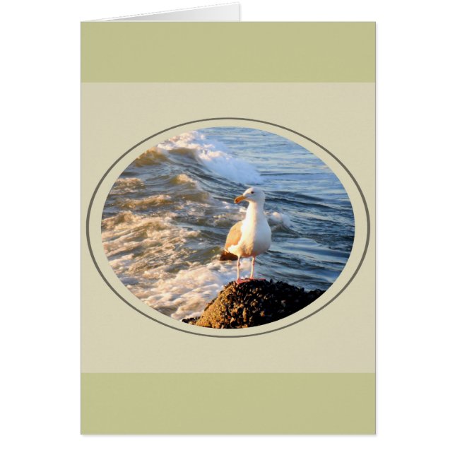 Cartão Seagull (Frente)