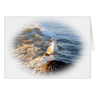 Cartão Seagull