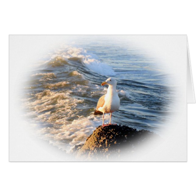 Cartão Seagull (Frente Horizontal)