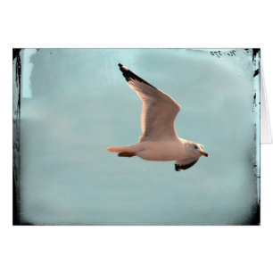 Cartão Seagull