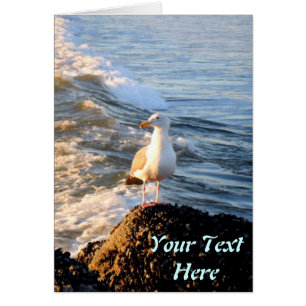 Cartão Seagull