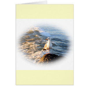 Cartão Seagull