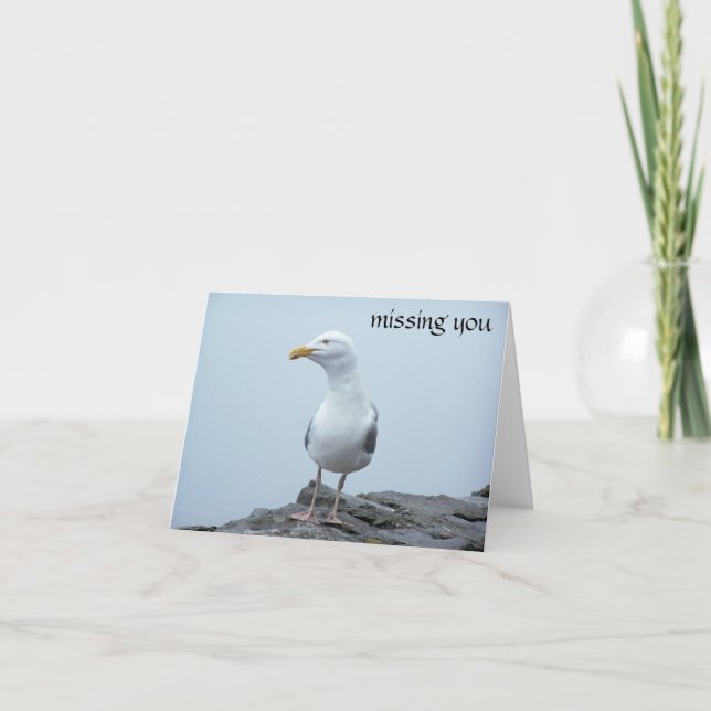 Cartão Seagull (Frente)