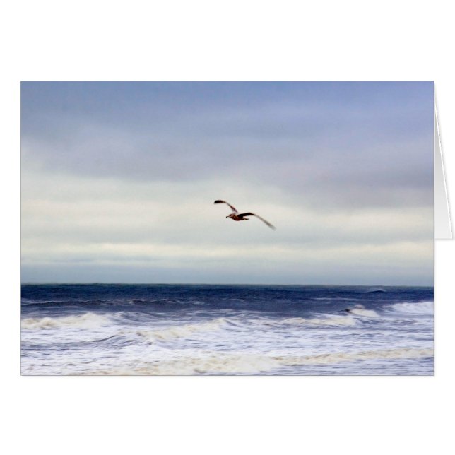 Cartão Seagull Em Roxo (Frente Horizontal)