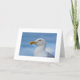 Cartão Seagull Greetings Card