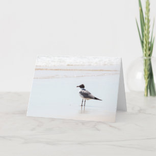 Cartão Seagull on the Beach Blank Greeting Card
