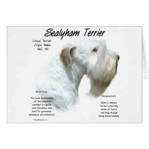 Cartão Sealyham Terrier History