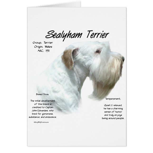 Cartão Sealyham Terrier History (Frente)