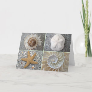 Cartão Seashell Collage