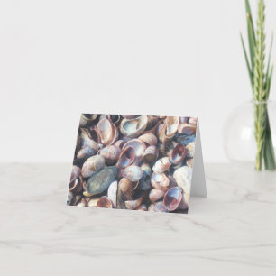 Cartão Seashell Notecard