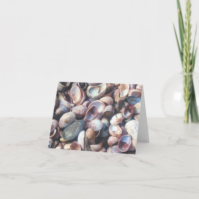 Cartão Seashell Notecard (Frente)