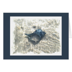 Cartão Seashell preto