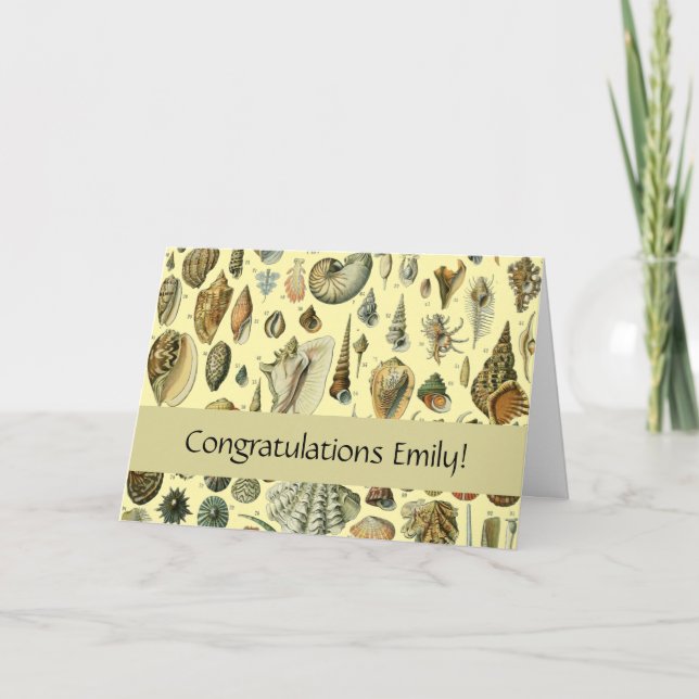 Cartão Seashell Shell Mollusk Clam Elegant Clam Art (Frente)