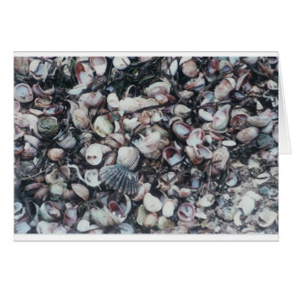 Cartão Seashells