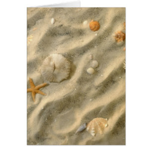 Cartão Seashells na areia