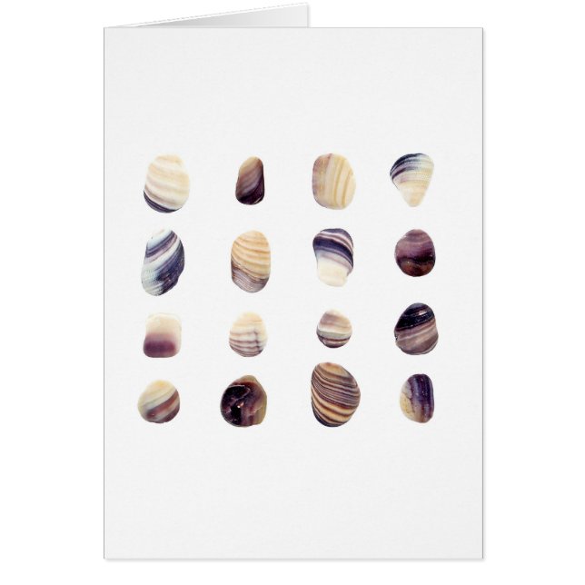 Cartão Seashells resistidos (Frente)