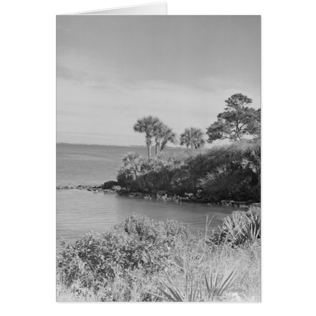 Cartão Seashore (Frente)