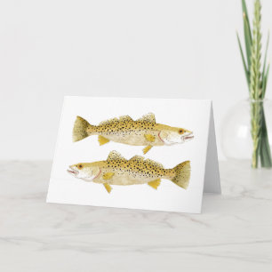 Cartão Seatrout Espetado