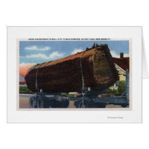 Cartão Seattle, Washington Giant Log em direção a Mill