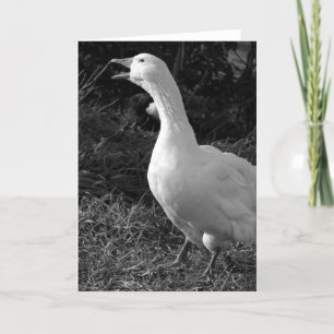 Cartão Sebbie Honrando