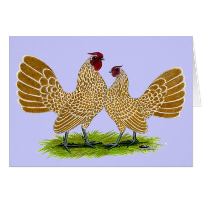 Cartão Sebrights Buff Lacrado (Frente horizontal)