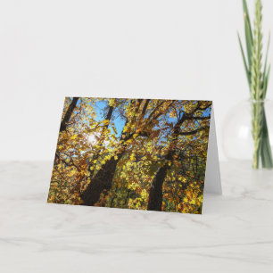 Cartão Sedona Autumn Notecard