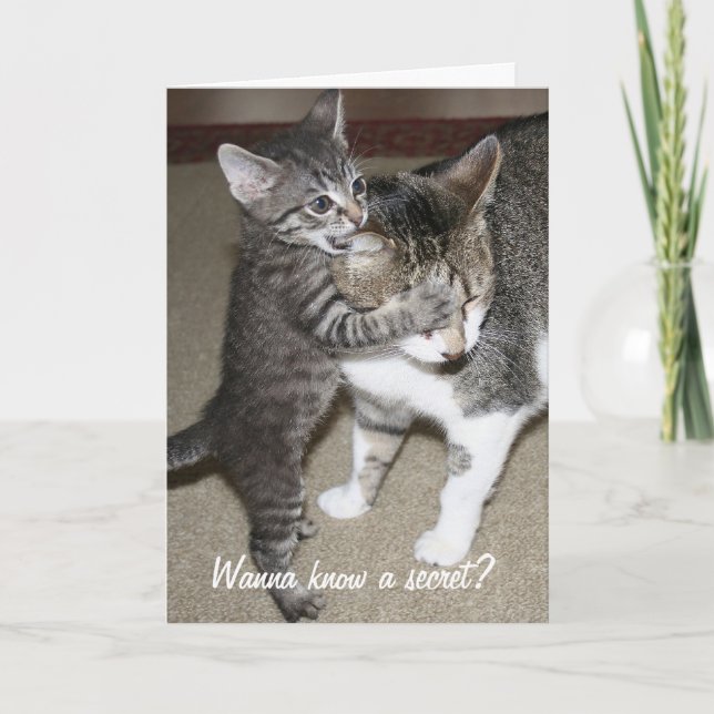 Cartão Segredo (Frente)