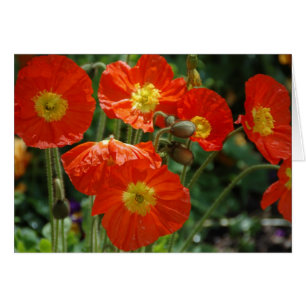 Cartão Segunda-feira Ame