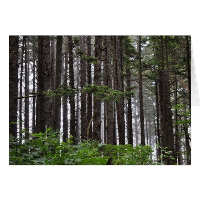 Cartão segundo Beach em La Push, WA (Frente Horizontal)